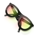 spectacle